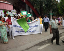 Tree Plantation Drive