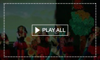 Video Gallery